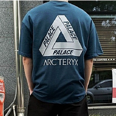 팔라스PALACE x 아크테릭스ARCTERYX 반팔 티셔츠