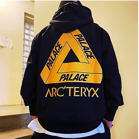 팔라스 × 아크테릭스 ARCTERYX 자수로고 후드티