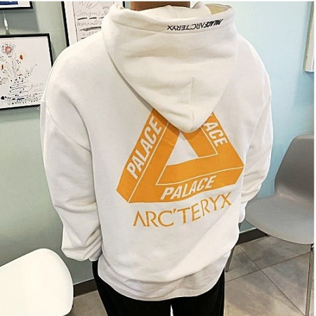 팔라스 X 아크테릭스 ARCTERYX 기모 후드티셔츠