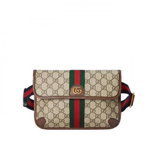 GUCCI 오피디아 스몰 벨트백