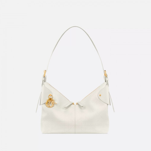 디올 Dior Voyage 스몰/미디엄/라지 백