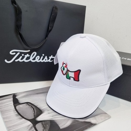 타이틀 리스트 볼마커 캡