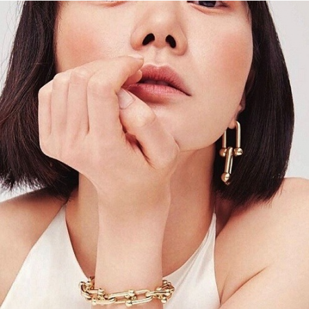 Tiffany & Co 링크 귀걸이