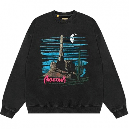 GALLERYDEPT 선인장 워싱 맨투맨