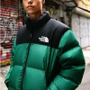 THE NORTH FACE 1996 레트로 눕시 다운패딩 - 그린