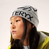 아크테*스 ARCTERYX 버드 워드 토크 비니