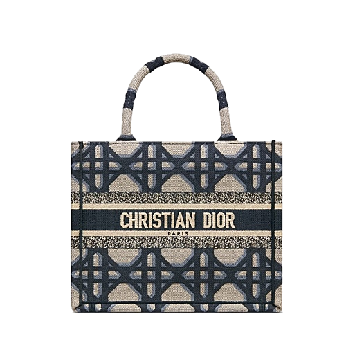 DIOR 디올 BOOK TOTE 스몰 백